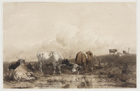 TvB T 313
<br/>
Polderlandschap met vee
<br/>
<em>Koelman, Johan Daniël (1831-1857)</em>